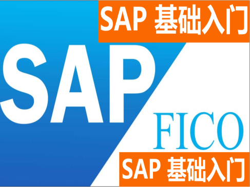 SAP-FICO基础入门